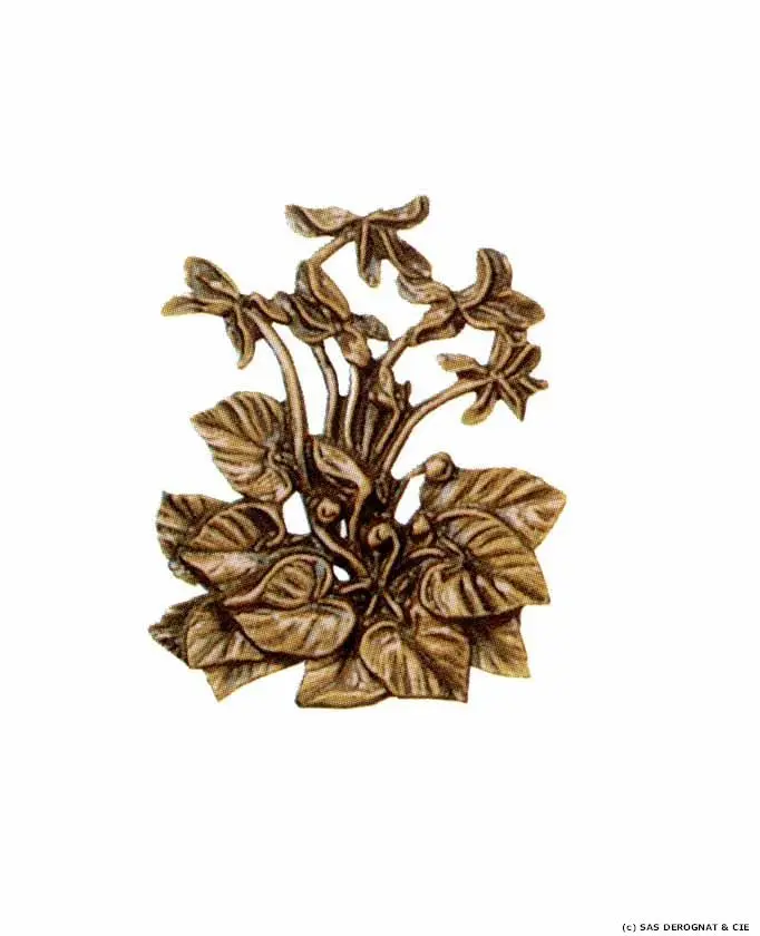 BRONZE / GERBE DE CYCLAMENS 80 mm