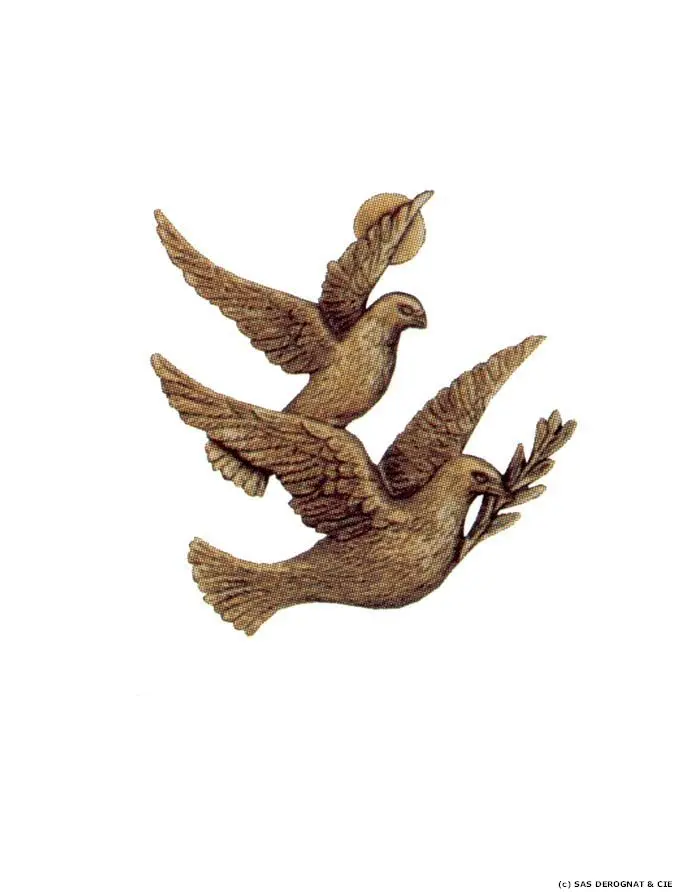 BRONZE / VOL DE COLOMBES 100 mm