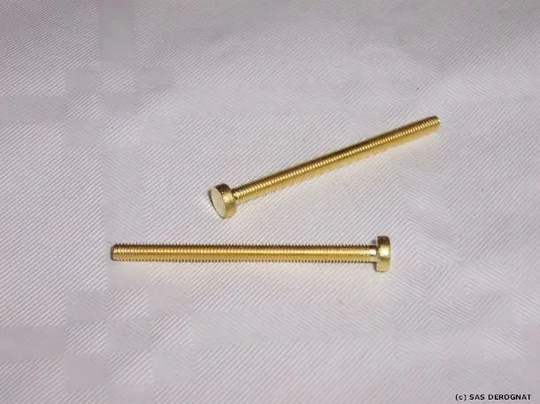 LAITON / VIS PHOTO 3 x 40 mm * LOT 100