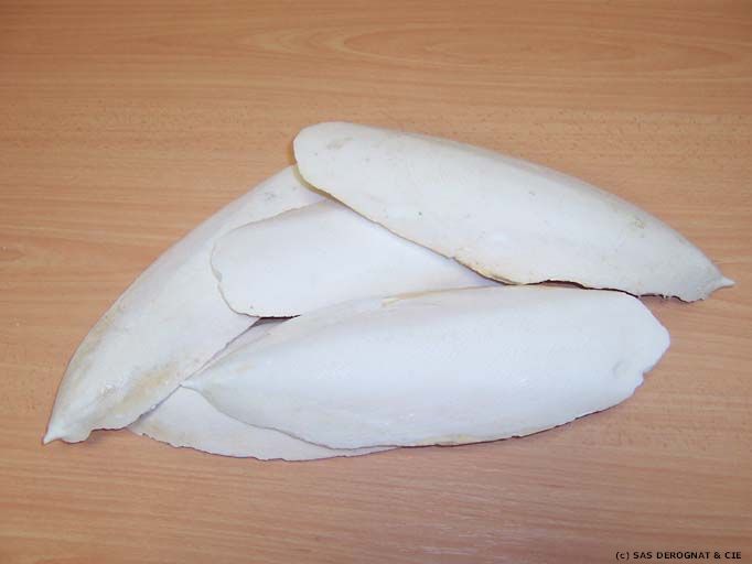 OS DE SEICHE ENVIRON 20 cm * A L'UNITE