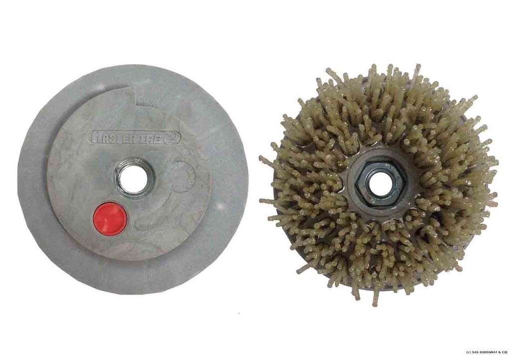 BROSSE DIAMANT D100 FIDIFLEX MONTAGE 14/200 + FIXO