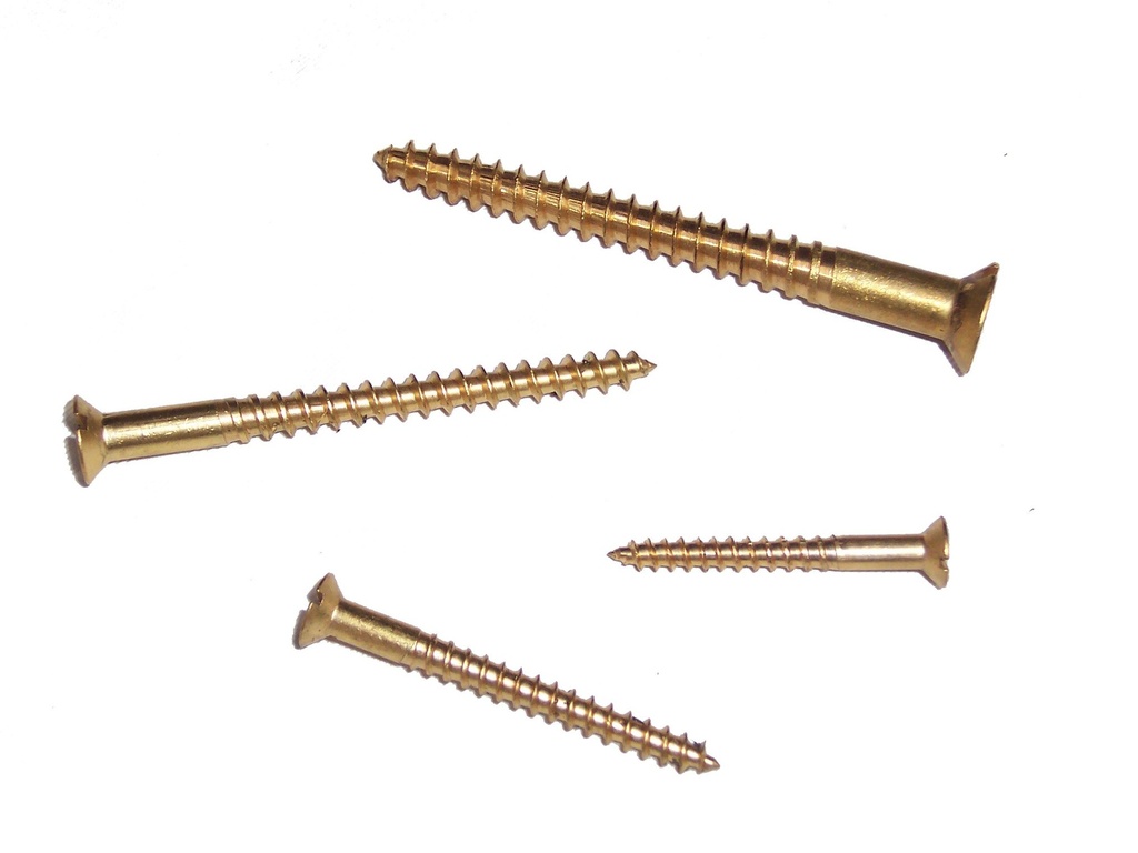 LAITON / VIS PERCEE TARAUDEE POUR MONTAGE ROSACE MONOBLOC * LOT 100