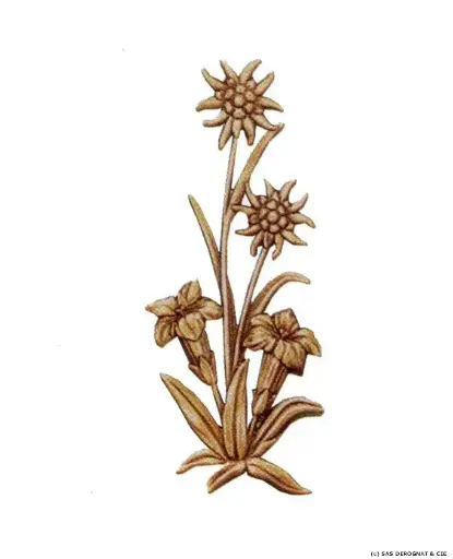 [BEFD32535] BRONZE / GERBE DE LYS ET D'EDELWEISS 200 x 80 mm