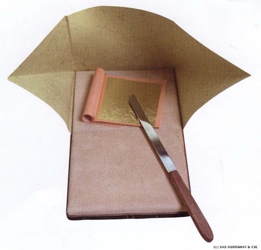 [75] DORURE / COUTEAU A DORER LAME INOXYDABLE