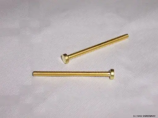 [VIS266892] LAITON / VIS PHOTO 3 x 40 mm * LOT 100